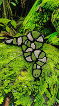FOREST SNAKE