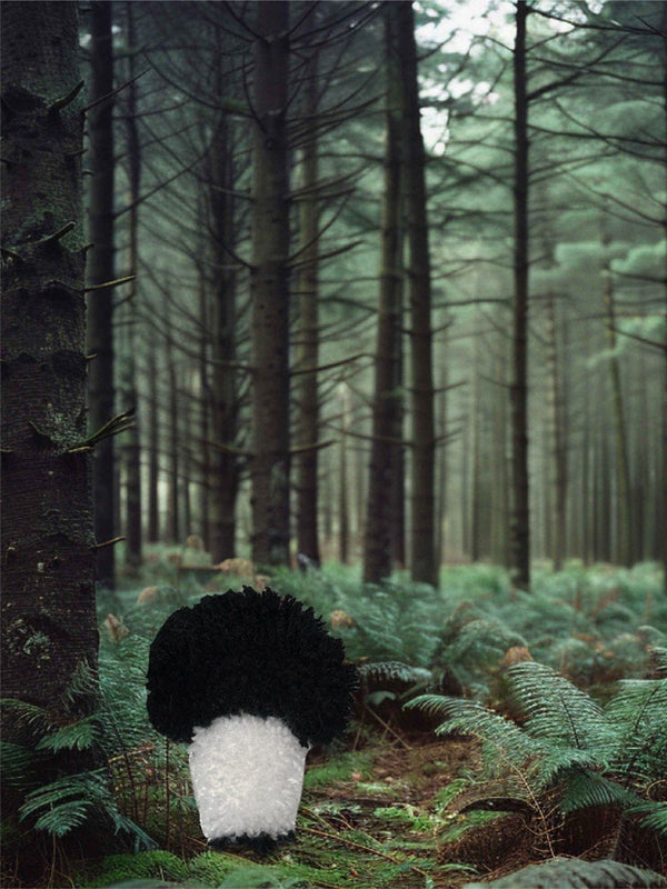 MUSHROOM №1